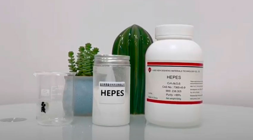 HEPES Buffer In Cell Culture