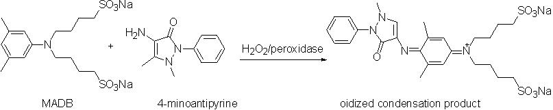 Reaction Principle of Chromogen Substrate MADB