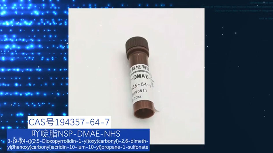 How to Detect Your Target Proteins Using Chemiluminescent Detection Reagents