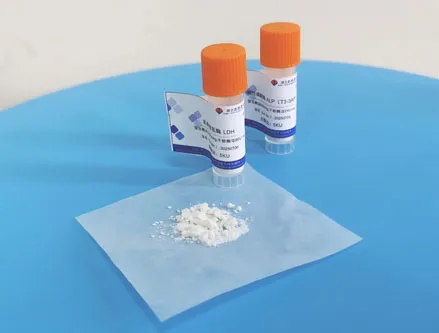Lactate Dehydrogenase (LDH)