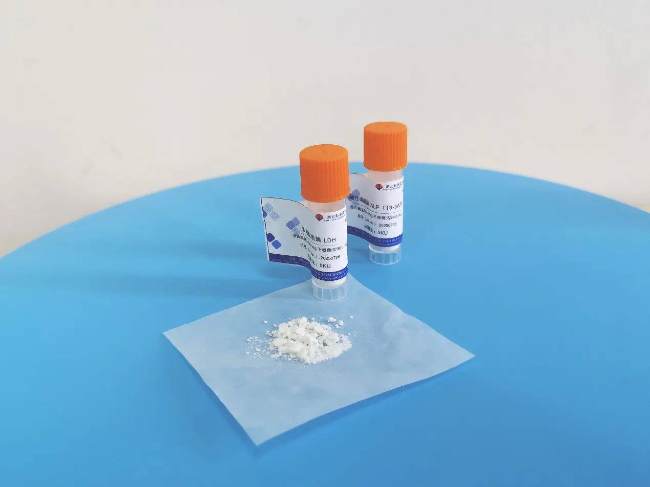 Product Information for Lactate Dehydrogenase (LDH)