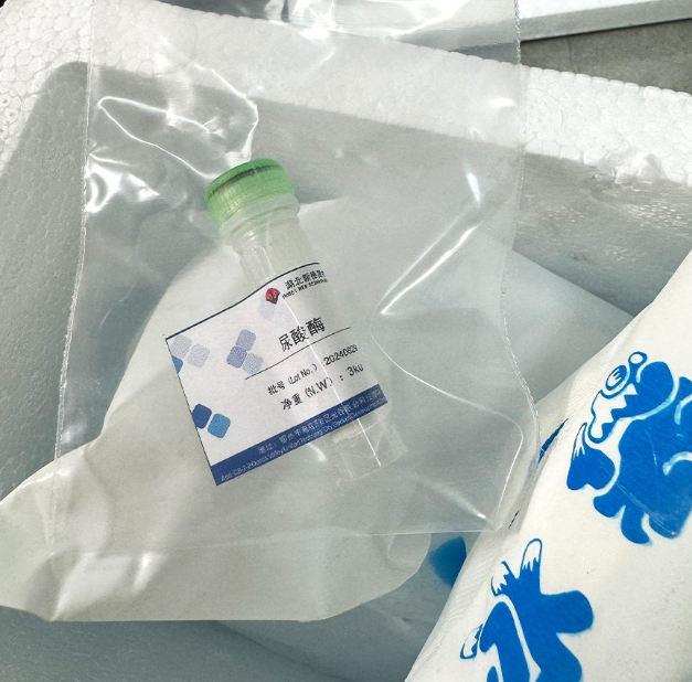 81a103e4-a599-448b-86e2-14ef96fa53ad.png 81a103e4-a599-448b-86e2-14ef96fa53ad.png